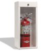 Fire extinguisher in a case